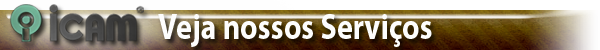 barra_veja