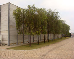 An Image Slideshow